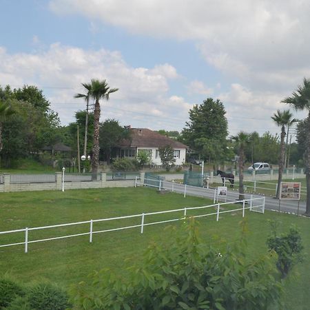 Serbesler Botanik, No 1 Comfortable Villa Sakarya  Exteriör bild